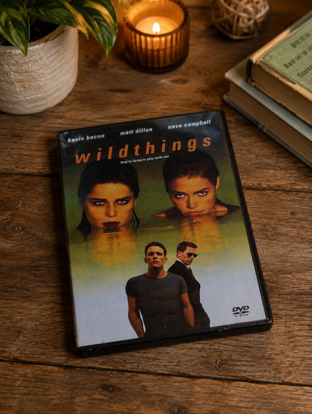 Wild Things DVD